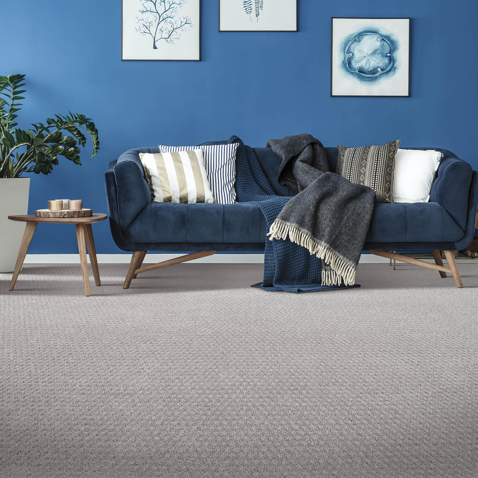 Blue Couch with Carpet | Location Carpet