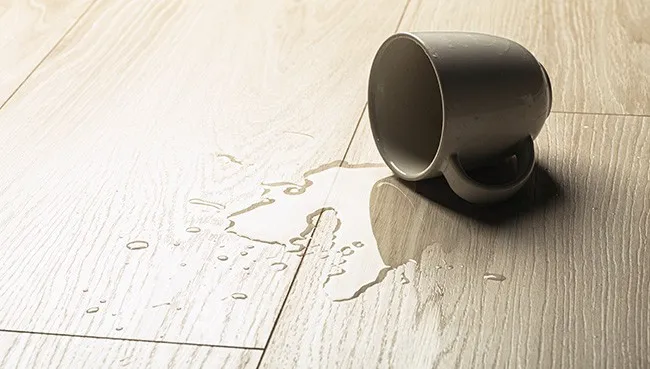 imgi_5_HardwoodSpill